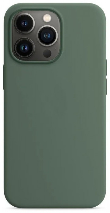 Чехол Silicone Case with Magsafe для iPhone 13 Pro Зеленый (Eucalyptus)